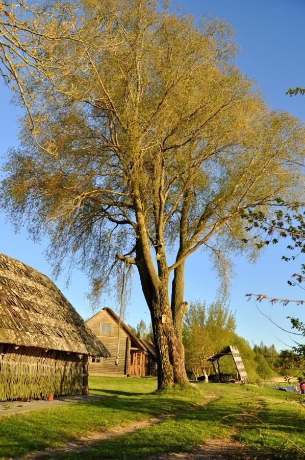 Лоджи Šyšos Kaimo Sodyba Šyša